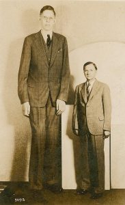 How Tall Was Robert WadlowHow Tall Was Robert Wadlow