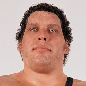 How Tall Was Andre the Giant